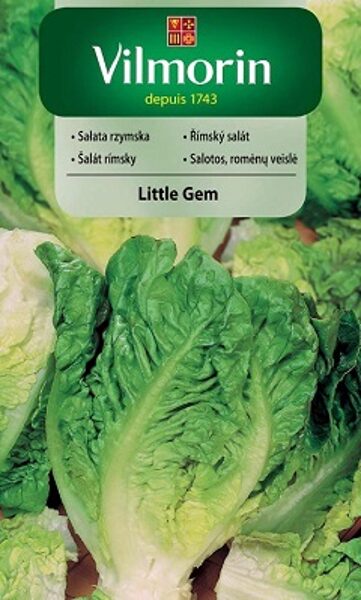 Salāti mini romiešu LITTLE GEM 500 mg Vilmorin
