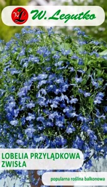 Nokarenā lobēlija zila 0.2 g W.Legutko