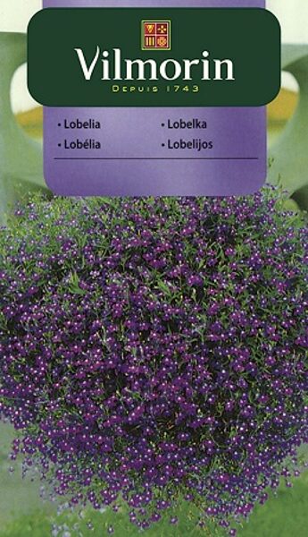 Nokarenā lobēlija zila Niebieska  0.2 g Vilmorin