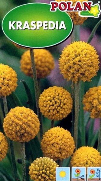  Lodveida kraspēdija KRASPEDIA 0.1 g Polan