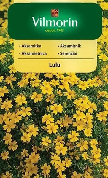  Samtenes zemās sīklapu LULU 500 mg Vilmorin