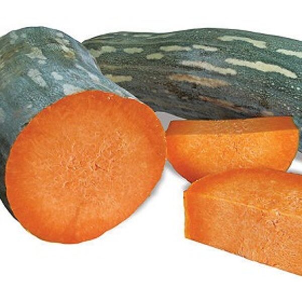 Ķirbji muskatrieksta  Lunga Piena di Napoli 5 gab La Semiorto Sementi