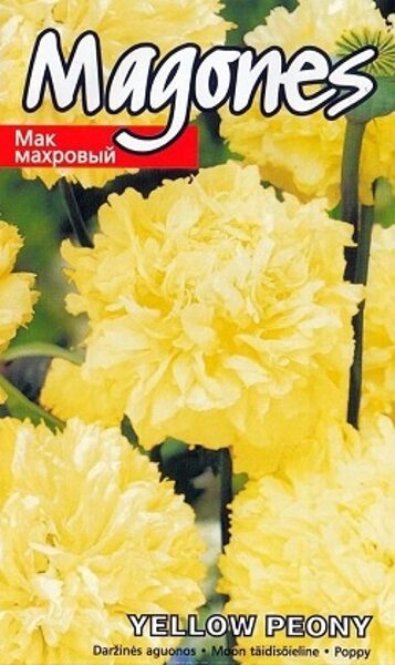 Magones Yellow Peony 0.5 g Kurzemes Sēklas 