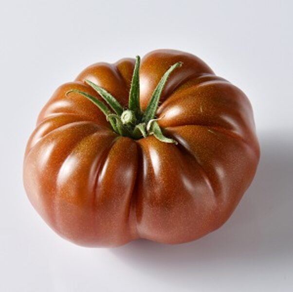 Tomāti MARBRUNI  HF1 3 gab Gautier Semences