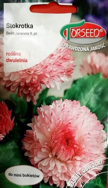 Mārpuķīte Montrosa rozā 0.3 g Torseed