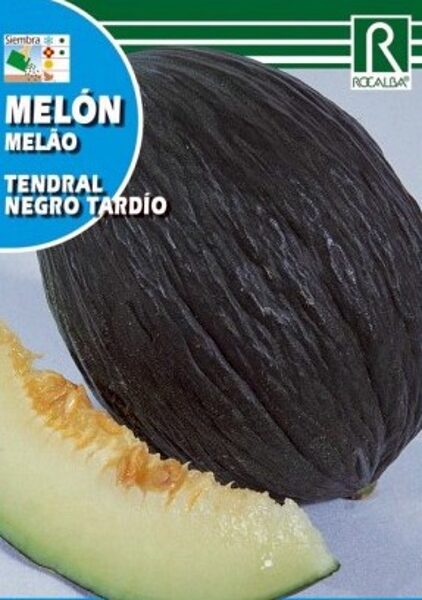 Melone Tendral Negro Tardio 10 g ROCALBA