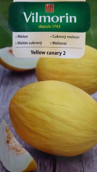 Melone Yellow Canary 2  2 g Vilmorin