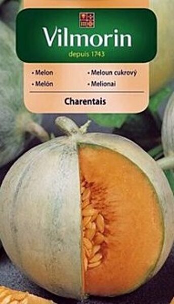 Melone Charentais 1 g Vilmorin