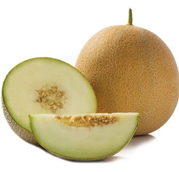 Melone GEDIZ F1  3 gab  Yuksel Tohum