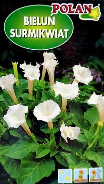 Eņģeļtaure (Metela velnābols) balta 0.5 g POLAN