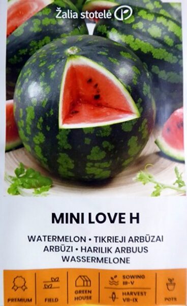 Arbūzi MINI LOVE H 5 gab Žalia stotelė