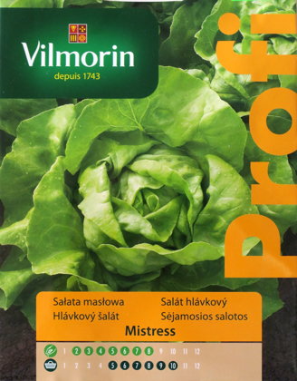 Salāti galviņu MISTRESS 500 g Vilmorin