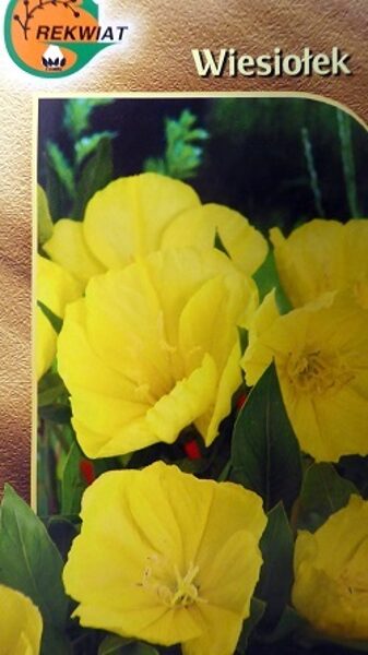 Misūri naktssvece 300 mg Rekwiat