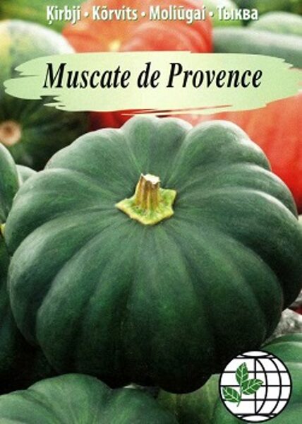 Ķirbji MUSCATE de PROVENCE 5 gab AGRIMATCO