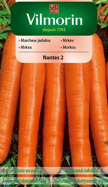 Burkāni NANTES 2 5 g Vilmorin