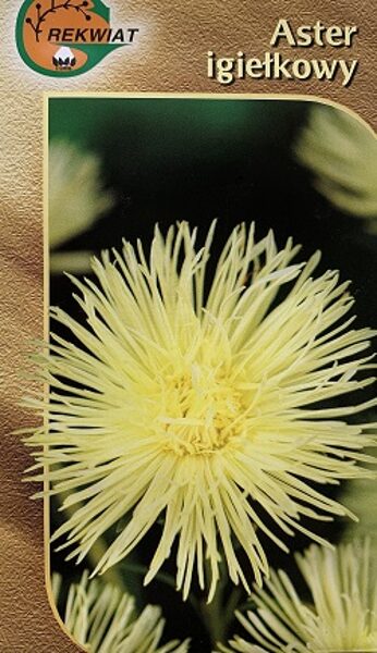 Asteres ķīnas adatainās NEL 1 g Rekwiat