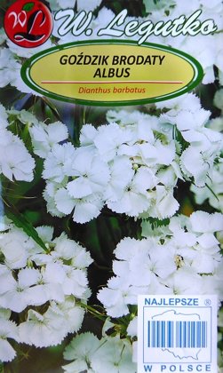 Studentu neļķes Albus 0.5 g W.Legutko