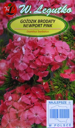 Studentu neļķes Newport Pink 0.5 g W.Legutko