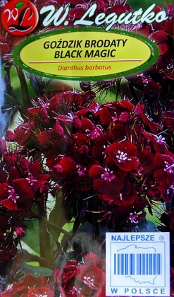Studentu neļķes  Black Magic 0.5 g W.Legutko