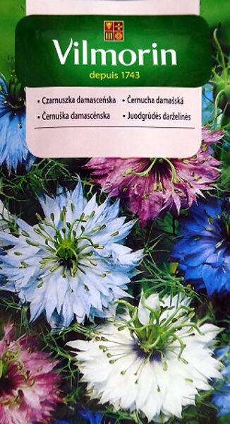 Damaskas nigella MIX 5 g Vilmorin