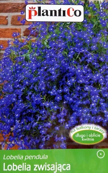 Nokarenā lobēlija Niebiesko - fioletowa 0.1 g PlantiCo