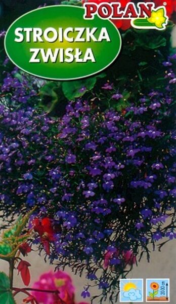 Nokarenā lobēlija zilgani violeta 100 mg Polan