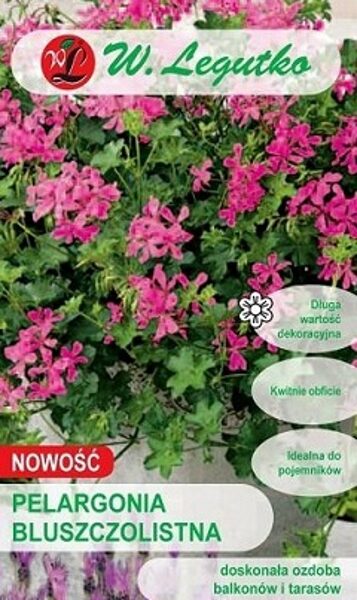 Nokarenā pelargonija FUCHSIA F1 5 gab W.Legutko