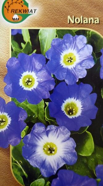 Nolana 0.5 g Rekwiat