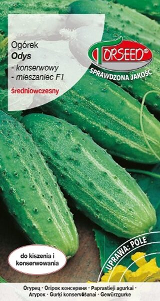 Gurķi Odis F1 3 g Torseed