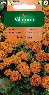 Samtenes zemās PETITE ORANGE 1 g Vilmorin A.P.