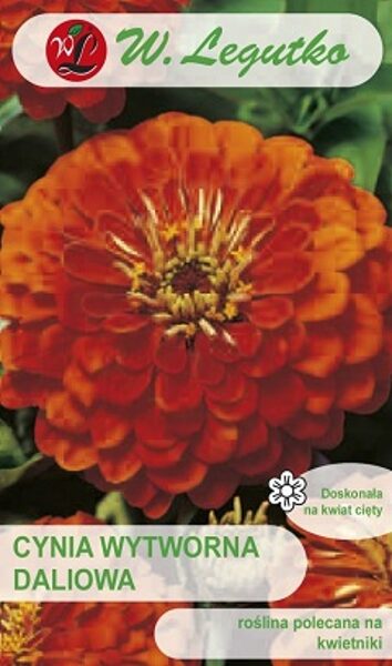 Cinnijas dāliju ORANGE KING 1 g W.Legutko