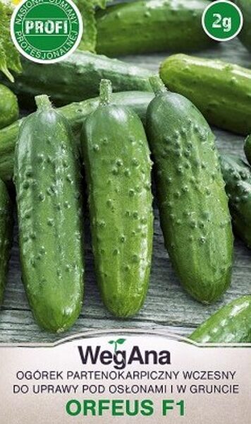 Gurķi ORFEUS F1 2 g WegAna 