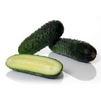 Gurķi MARVI F1  10 gab Sakata