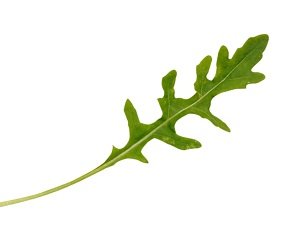 Rukola Selvatica 1 g Enza Zaden