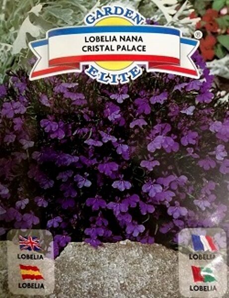 Zemā lobēlija Cristal Palace 0.20 g Galassi Sementi