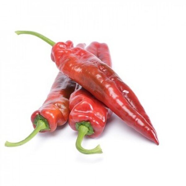 Paprika PALERMO F1 9 gab Rijk Zwaan