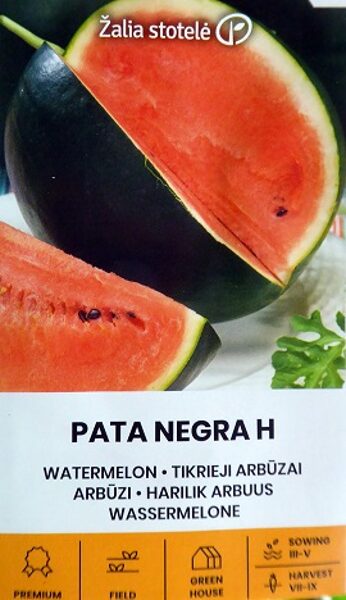 Arbūzi PATA NEGRA H 5 gab Žalia stotelė