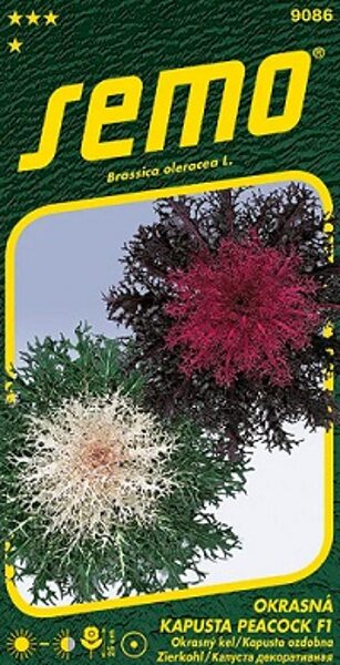 Dekoratīvais kāposts PEACOCK F1 MIX 20 gab Semo A.P.