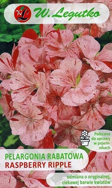 Pelargonija dārza Divas F1 violeta 0.04 g W.Legutko