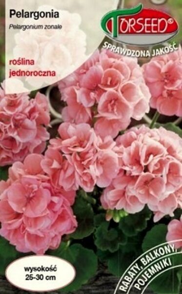 Zonālā pelargonija F2 lašu krāsa 10 gab Torseed