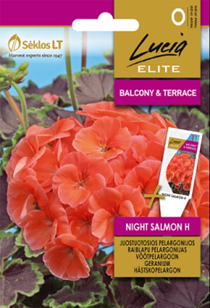 RAIBLAPU PELARGONIJAS NIGHT SALMON H 7 gab Sėklos LT (Lucia ELITE)