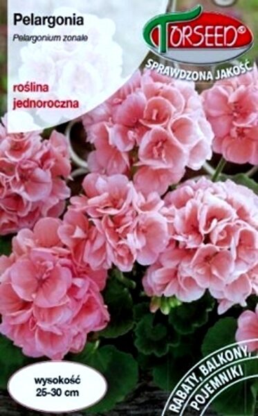 Zonālā pelargonija F2 rozā krāsā 10 gab Torseed