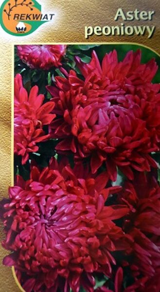 Asteres ķīnas peoniju Opalfeuer 1 g Rekwiat A.P.