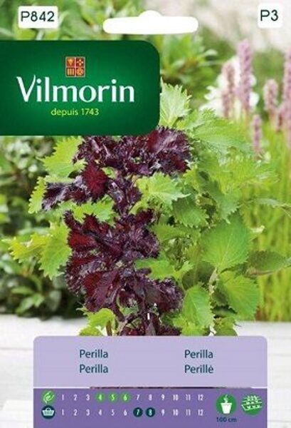 Perilla krūmveida 500 mg Vilmorin
