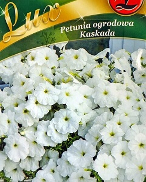 Petūnijas nokarenās Kaskada baltas 0.02 W.Legutko