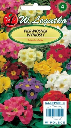 Dižā primula MIX 0.3 g W.Legutko