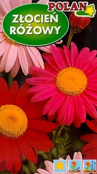 Sārtās pīpenes (Šarlaksarkanā krizantēma) MIX 1 g Polan