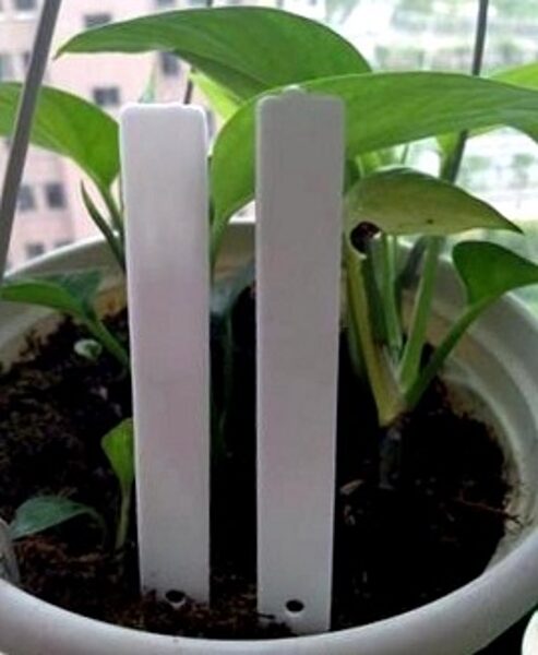 Uzrakstu plāksnītes baltas augu marķēšanai  20 gab Garden LINE 