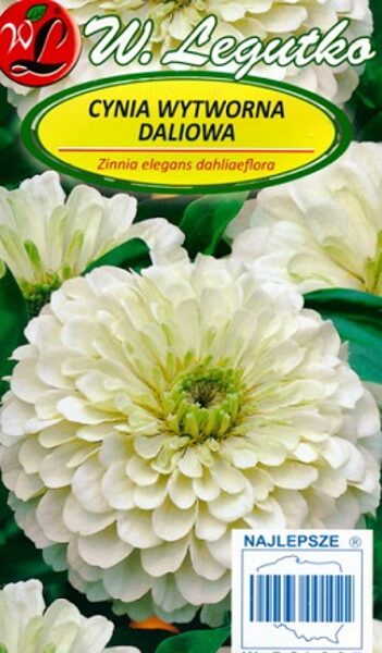 Cinnijas dāliju POLAR BEAR 1 g W.Legutko
