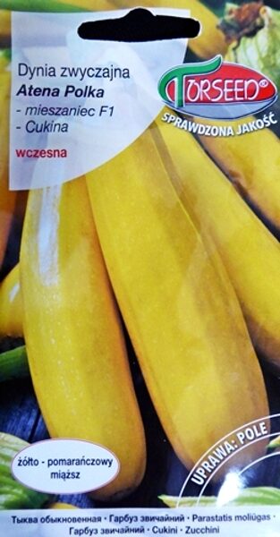 Kabacis Atena Polka F1 2 g Torseed